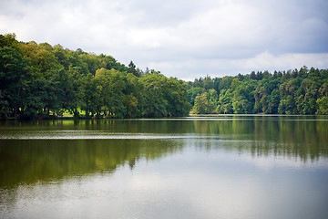 Image showing Forest reflection 