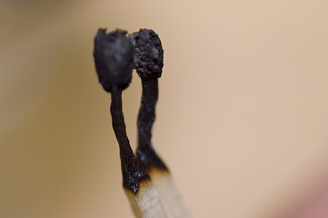 Image showing burned matches