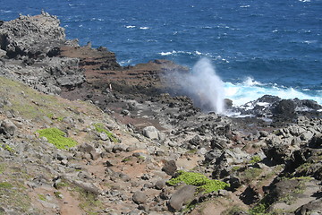 Image showing Nakalele Blowhole on Maui Hawaii