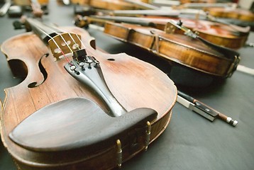 Image showing Violins