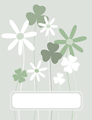 Image showing clover background