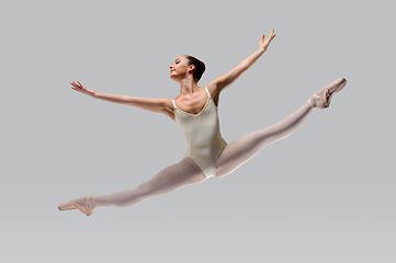 Image showing Beautiful ballet