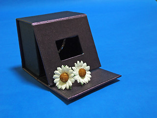 Image showing flower out of the box