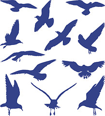 Image showing Birds, seagulls in blue silhouettes 