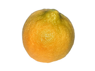 Image showing Weird orange