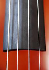 Image showing Cello closeup