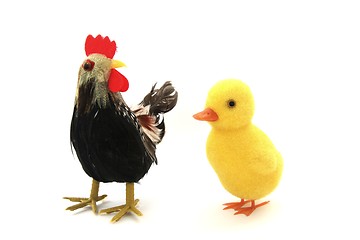 Image showing Duckling and cock
