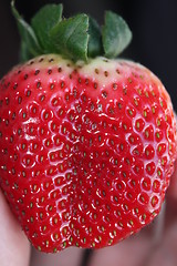 Image showing Strawberries