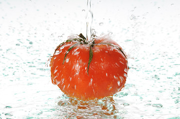 Image showing tomato in water