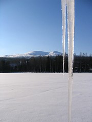 Image showing Icicles