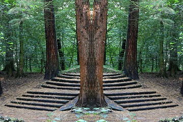 Image showing Stairs in the wood