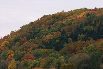 Image showing Ruhr valley hill in autumn