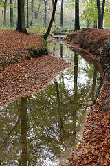 Image showing Autumn Creek