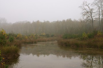 Image showing Misty Pond 2