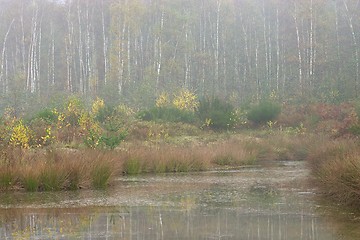 Image showing Misty Pond 1