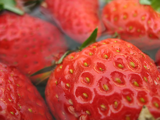 Image showing Strawberries