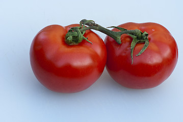 Image showing Fresh Tomatoes, Tuscany