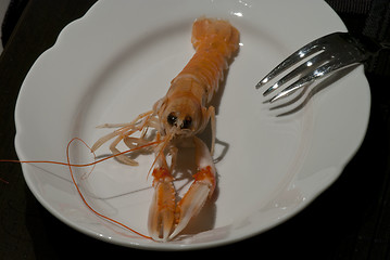 Image showing Prawn ready to be eaten, Italy