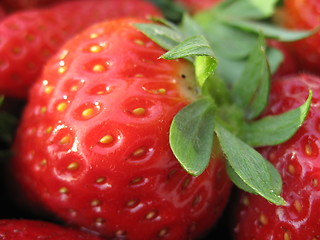 Image showing Strawberries