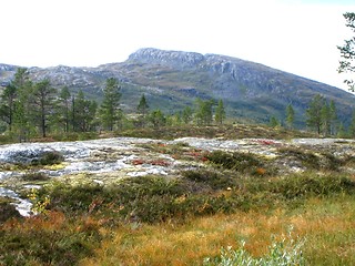 Image showing Fall in the mountain