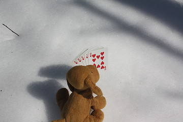 Image showing Dog playing poker