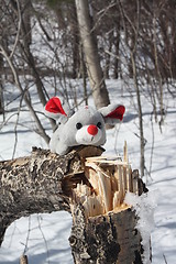Image showing Mouse in the forest.