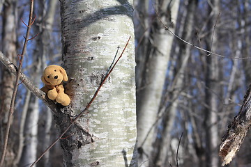 Image showing Pensive dog in a tree