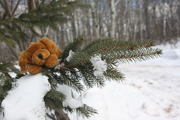 Image showing Dog in a tree