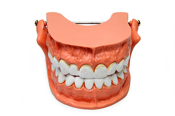 Image showing Teeth model