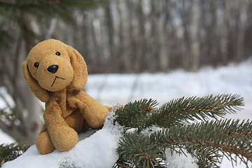 Image showing Cute dog in a tree.