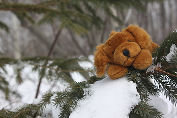 Image showing Cute dog in a tree.