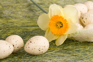 Image showing Basket with easter eggs and daffodil