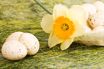 Image showing Basket with easter eggs and daffodil