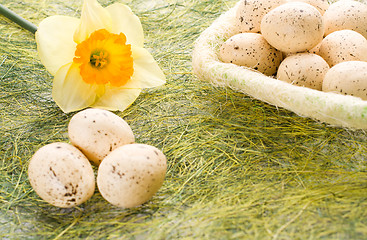 Image showing Daffodil and basket with easter eggs