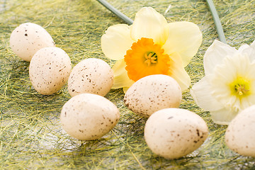 Image showing Daffodil and easter eggs