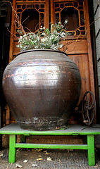 Image showing Giant pot with flowers