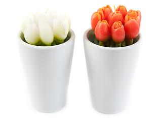 Image showing Two glass with tulip in the manner of candles