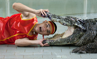 Image showing Man places head in mouth crocodile