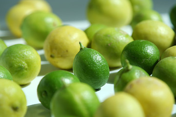 Image showing lemon fruit