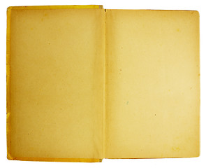 Image showing Old book