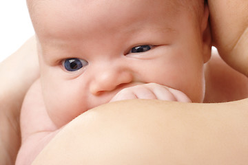 Image showing Newborn in mother's hands