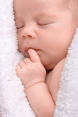 Image showing Cute newborn sleeps wrapped in white blanket