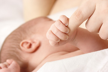 Image showing Newborn sucks mother's breast, breastfeeding