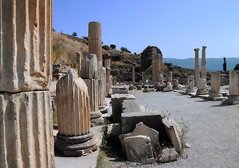 Image showing Pillars of Ephesus