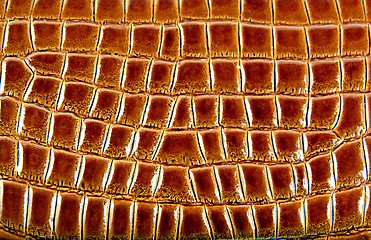 Image showing Skin of a crocodile