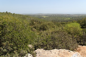 Image showing Mediterranean landscape of wooded hills 