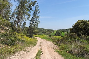 Image showing Hiking trail among woods and meadows in bright summer day