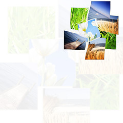 Image showing Nature collage.