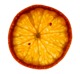 Image showing Mandarin slice