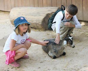 Image showing Children and animals in the zoo